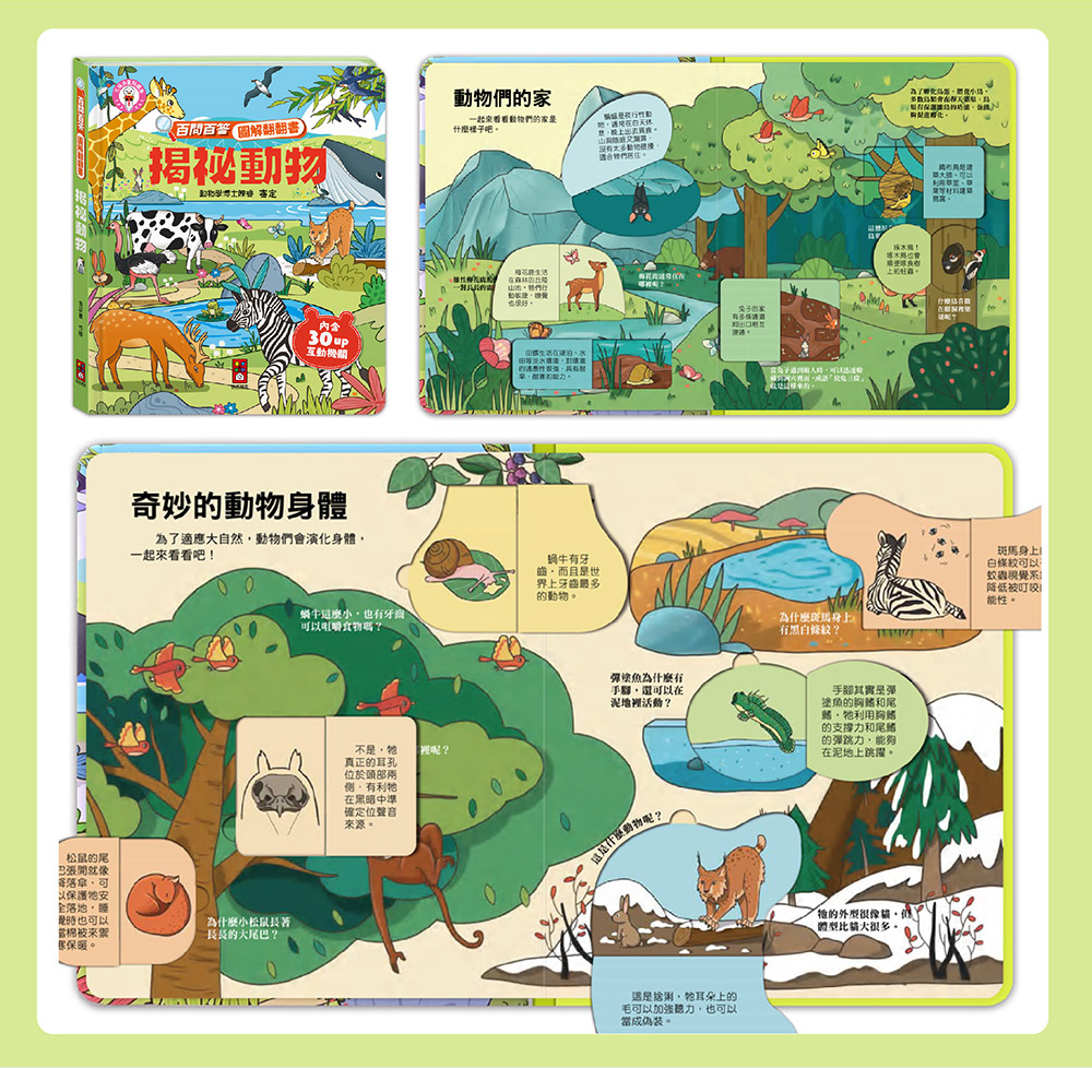 百問百答圖解翻翻書 百問百答圖解翻翻書